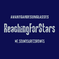 Reaching For Stars Avantgarde Sunglasses Michael Ellburg